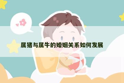属猪与属牛的婚姻关系如何发展