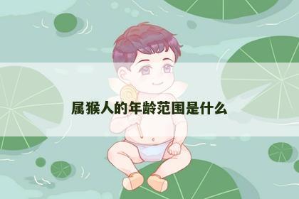 属猴人的年龄范围是什么