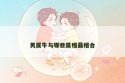 男属牛与哪些属相最相合