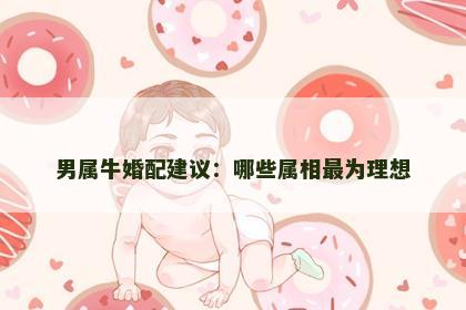 男属牛婚配建议：哪些属相最为理想