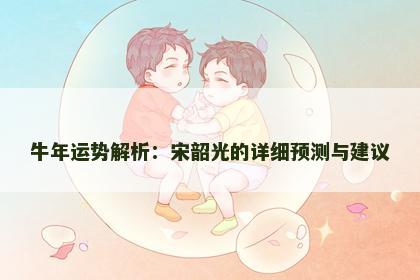 牛年运势解析：宋韶光的详细预测与建议