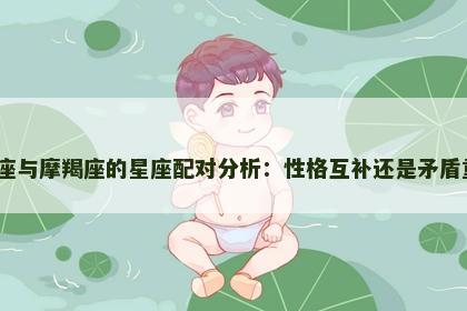 天蝎座与摩羯座的星座配对分析：性格互补还是矛盾重重？