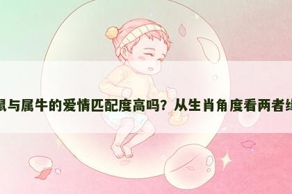 属鼠与属牛的爱情匹配度高吗？从生肖角度看两者缘分