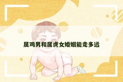 属鸡男和属虎女婚姻能走多远